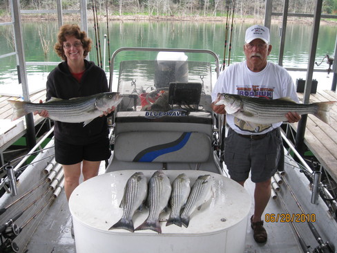 Nice Striped Bass