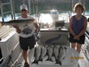 (06/29/2010) - Nice Striped Bass