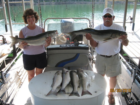 Nice Striped Bass