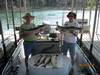 (06/30/2010) - Nice Striped Bass