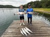 (06/05/2026) - Nice Striped Bass