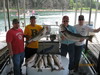 (07/17/2010) - Nice Striped Bass
