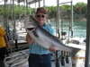 (07/17/2010) - Nice Striped Bass