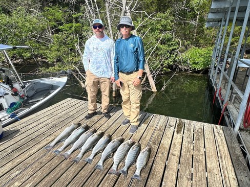 Nice Striped Bass