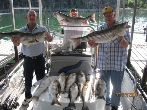 Nice Striped Bass