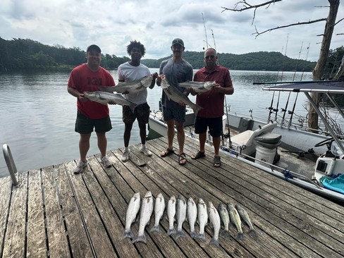 Nice Striped Bass