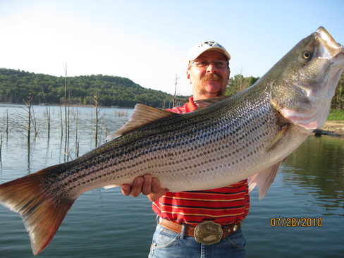 Nice Striped Bass