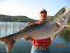 (07/28/2010) - Nice Striped Bass