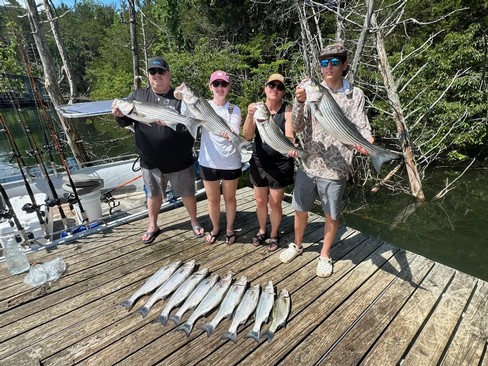 Nice Striped Bass
