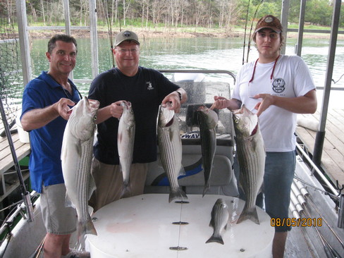 Nice Striped Bass