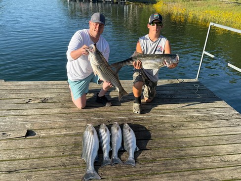 Nice Striped Bass