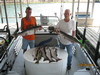 (08/09/2010) - Nice Striped Bass