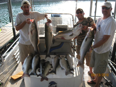 Nice Striped Bass