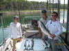 (08/13/2010) - Nice Striped Bass