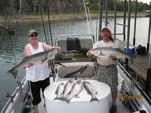 Nice Striped Bass