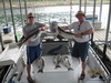 (08/14/2010) - Nice Striped Bass