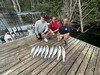 (07/06/2025) - Nice Striped Bass