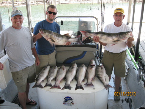 Nice Striped Bass