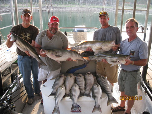 Nice Striped Bass