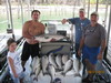 (08/21/2010) - Nice Striped Bass