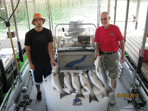 Nice Striped Bass