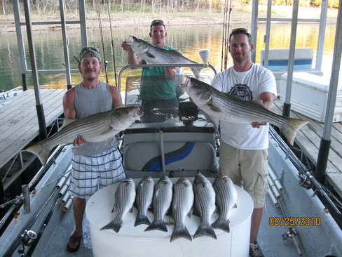 Nice Striped Bass