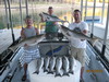 (08/25/2010) - Nice Striped Bass