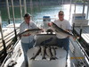 (08/27/2010) - Nice Striped Bass