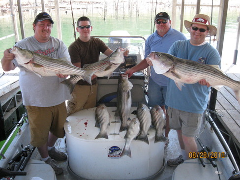 Nice Striped Bass