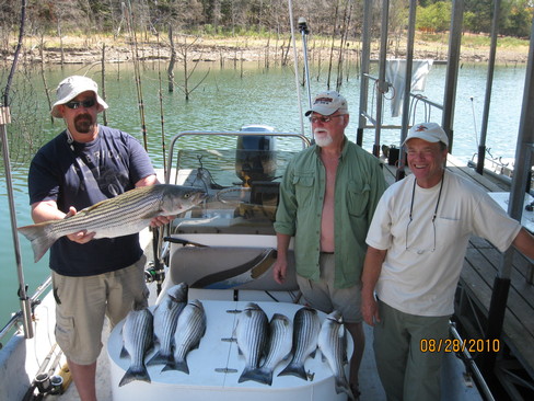 Nice Striped Bass