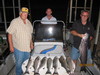 (08/28/2010) - Nice Striped Bass