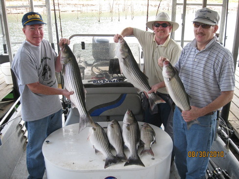 Nice Striped Bass