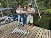 (07/10/2025) - Nice Striped Bass