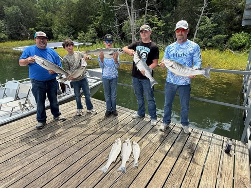 Nice Striped Bass