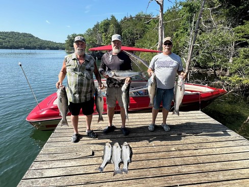 Nice Striped Bass
