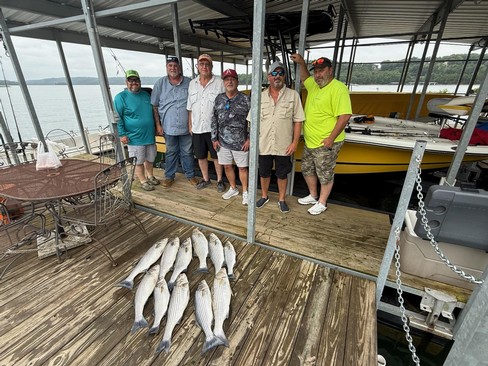 Nice Striped Bass