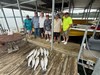(06/27/2026) - Nice Striped Bass