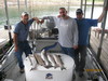 (09/08/2010) - Nice Striped Bass