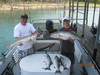 (09/11/2010) - Nice Striped Bass