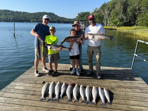 Nice Striped Bass