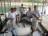 (09/11/2010) - Nice Striped Bass