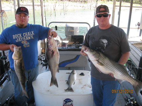 Nice Striped Bass