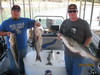 (09/12/2010) - Nice Striped Bass