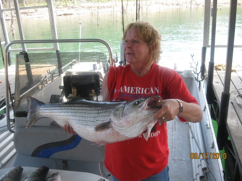 Nice Striped Bass