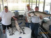 (09/19/2010) - Nice Striped Bass