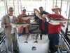 (09/21/2010) - Nice Striped Bass