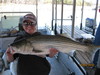 (10/03/2010) - Nice Striped Bass