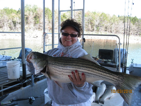 Nice Striped Bass