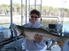 (10/03/2010) - Nice Striped Bass