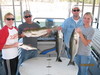 (10/09/2010) - Nice Striped Bass